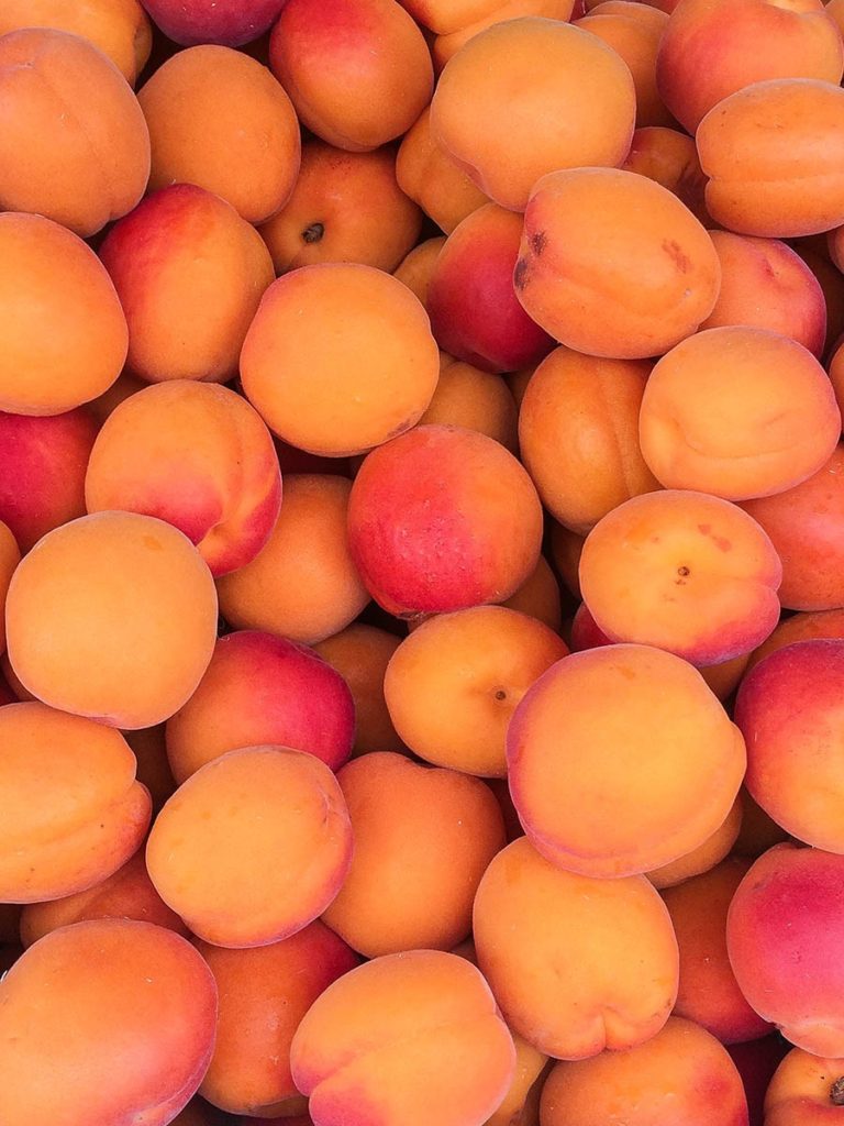 Apricots 500g The Northampton Grocer