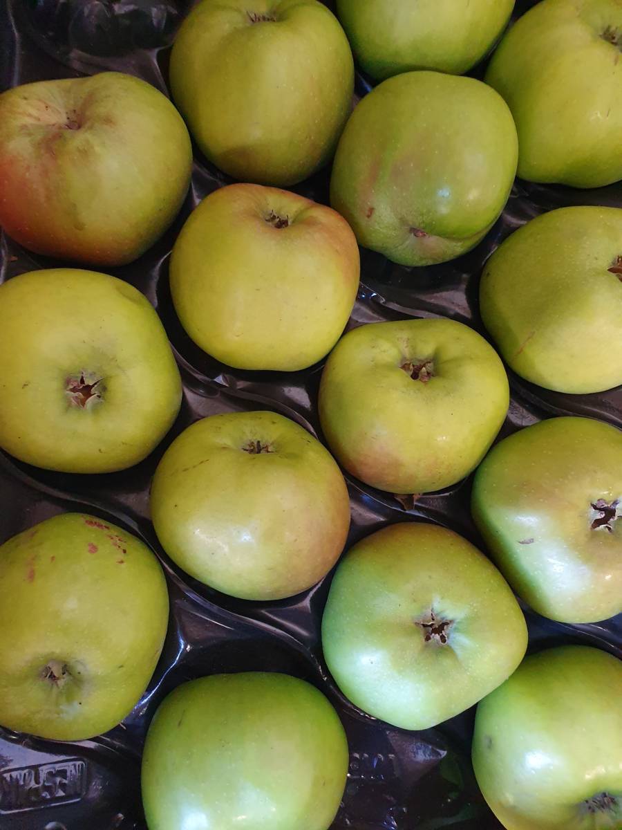 Bramley Apple x 4 Large The Northampton Grocer