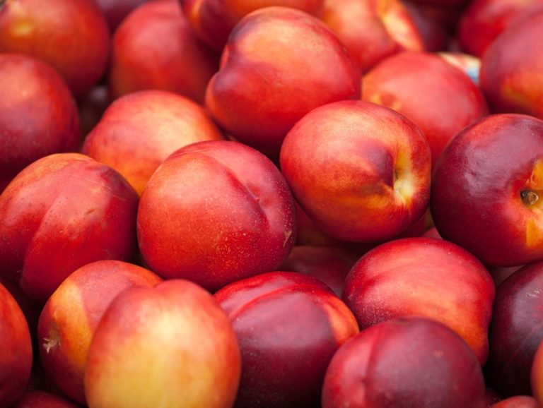 Nectarine x 1kg The Northampton Grocer