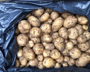 Suffolk new potatoes per kg