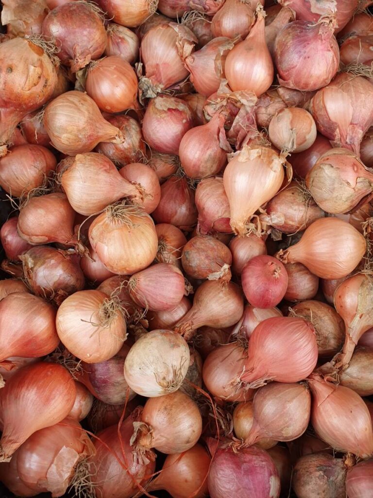 Round Shallots X 500g The Northampton Grocer