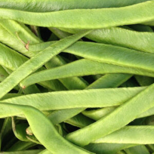 English Runner Beans
