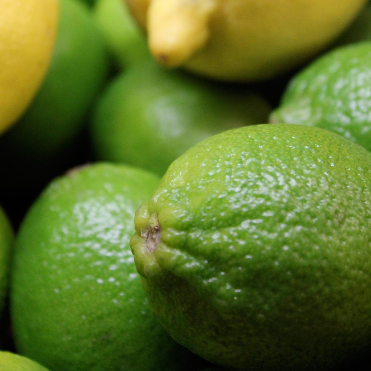 Large sized Limes x 5 - The Northampton Grocer