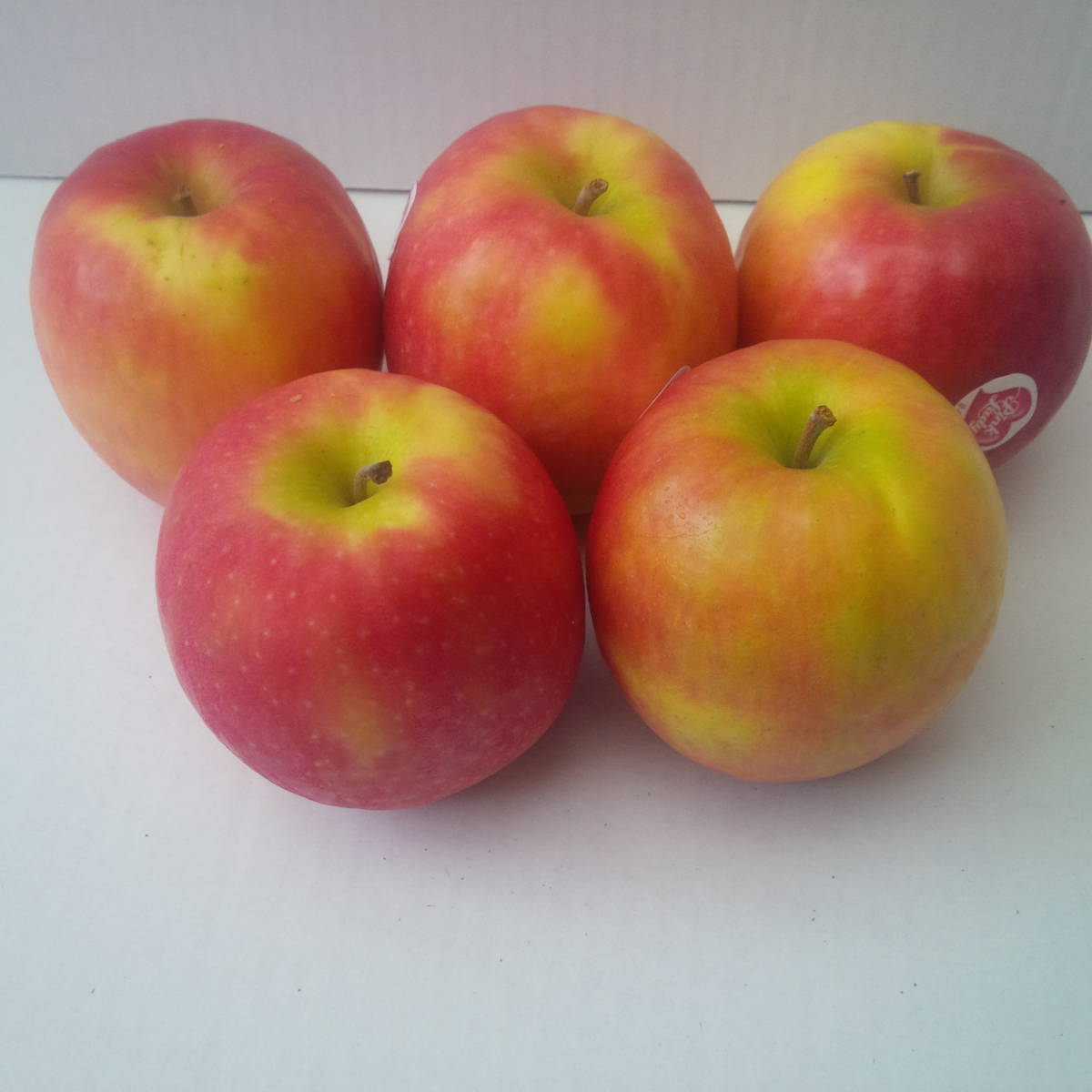 Pink lady apples x 1 kg The Northampton Grocer